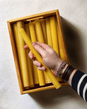 Apis Cera - Hand Rolled Beeswax Candles – Lucienne – Box of 9