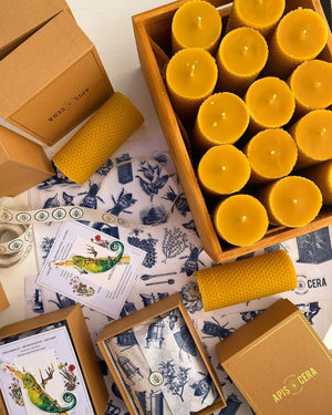 Apis Cera - Beeswax Candles Pillars – Ambroise – Box of 2