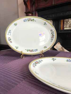 Vintage Set of 2 Vintage Oval Serving Plates - Sampsonite Churchill England