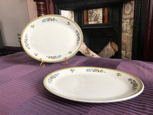 Vintage Set of 2 Vintage Oval Serving Plates - Sampsonite Churchill England