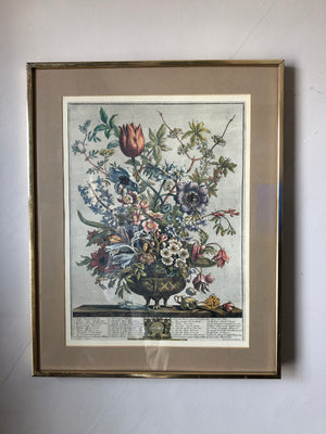 Vintage Framed Peony Botanical Print