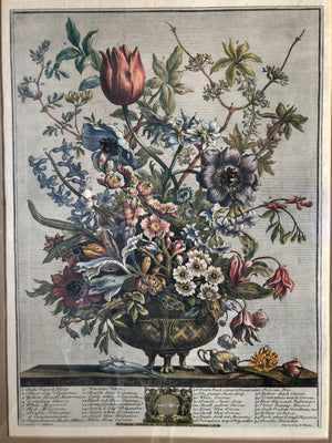 Vintage Framed Peony Botanical Print