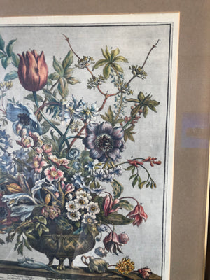 Vintage Framed Peony Botanical Print