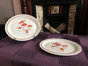 Set of 2 Vintage Oval Serving Plates - Lambethware Royal Doulton