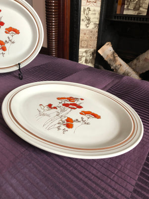 Set of 2 Vintage Oval Serving Plates - Lambethware Royal Doulton