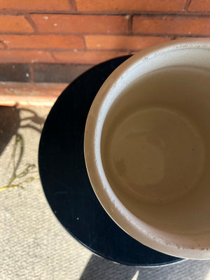 Vintage Canadian Jar/Planter with Cows Drawings