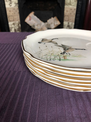Set of 7 Vintage Plates with Birds Drawings