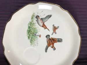 Set of 7 Vintage Plates with Birds Drawings