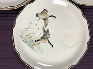 Set of 7 Vintage Plates with Birds Drawings