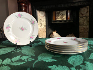 Set of 6 Vintage Plates - JLMENAU Plates