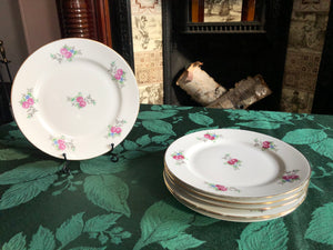 Set of 6 Vintage Plates - JLMENAU Plates