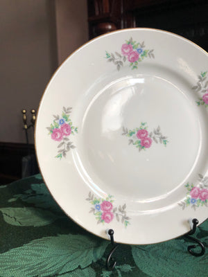 Set of 6 Vintage Plates - JLMENAU Plates