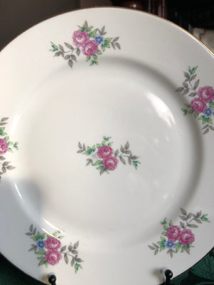 Set of 6 Vintage Plates - JLMENAU Plates