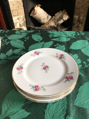 Set of 6 Vintage Plates - JLMENAU Plates