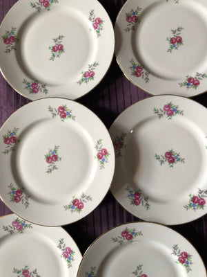 Set of 6 Vintage Plates - JLMENAU Plates