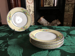 Vintage Set of 6 Plates - Meito China Shirley Plates