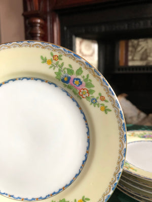 Vintage Set of 6 Plates - Meito China Shirley Plates