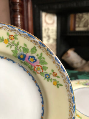 Vintage Set of 6 Plates - Meito China Shirley Plates