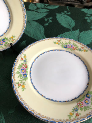 Vintage Set of 6 Plates - Meito China Shirley Plates