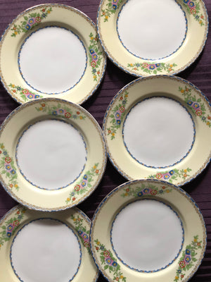 Vintage Set of 6 Plates - Meito China Shirley Plates