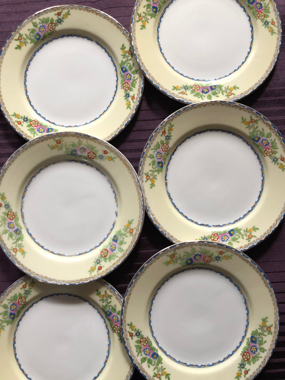 Vintage Set of 6 Plates - Meito China Shirley Plates