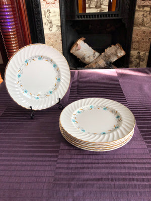 Set of 6 Vintage Plates - Royal Wessex Plates