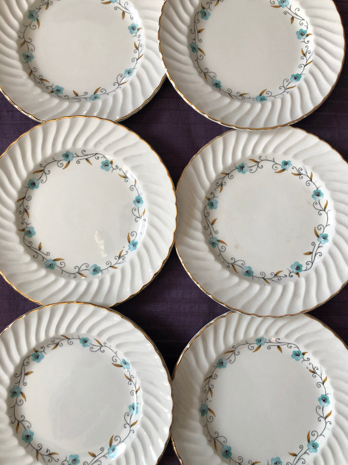Set of 6 Vintage Plates - Royal Wessex Plates